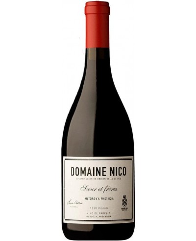Domaine Nico Histoire D'A Pinot Noir 2021